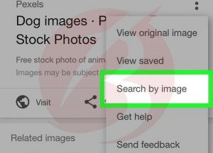روش های سرچ عکس در گوگل